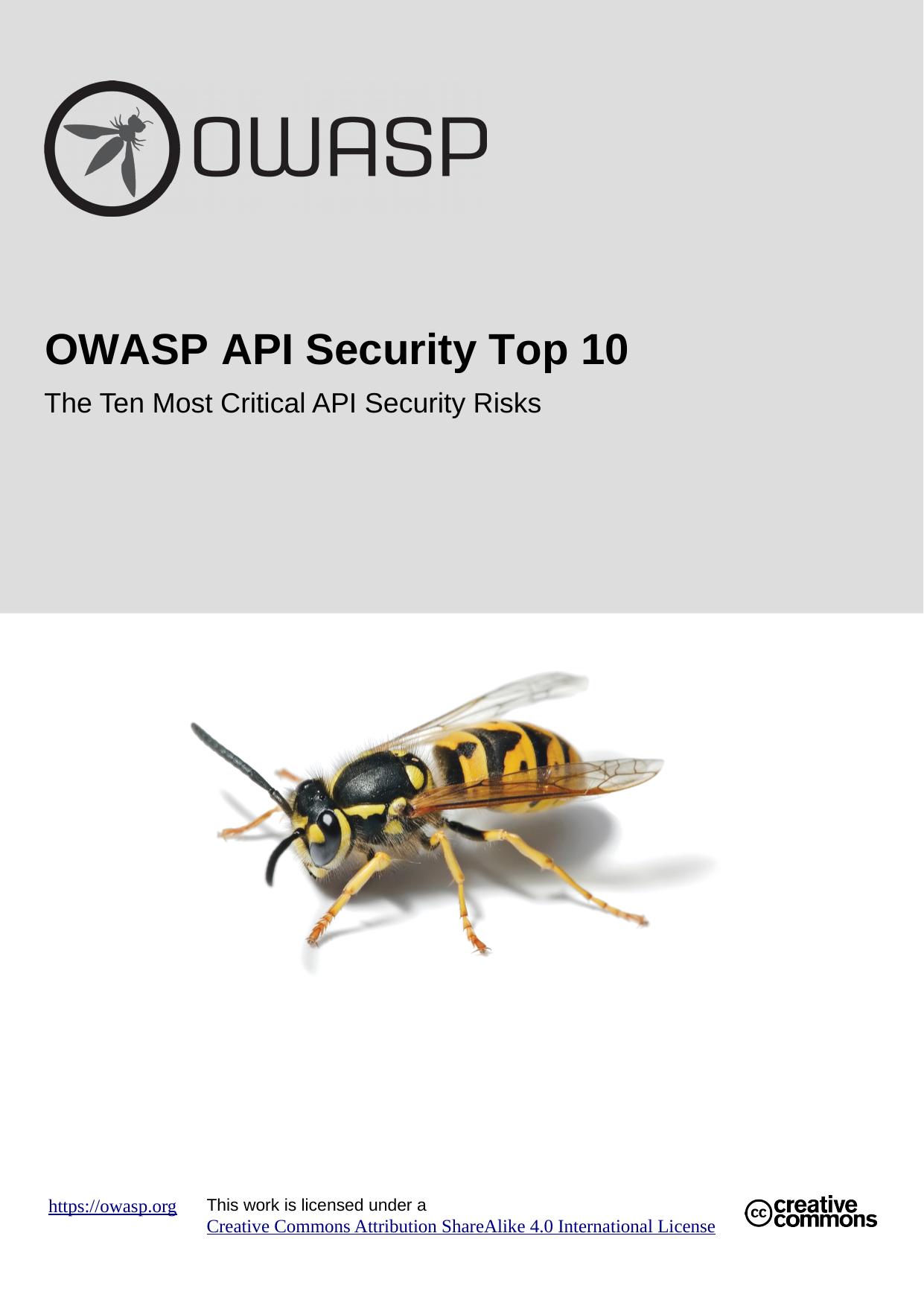 OWASP Top 10 API Security Risks
